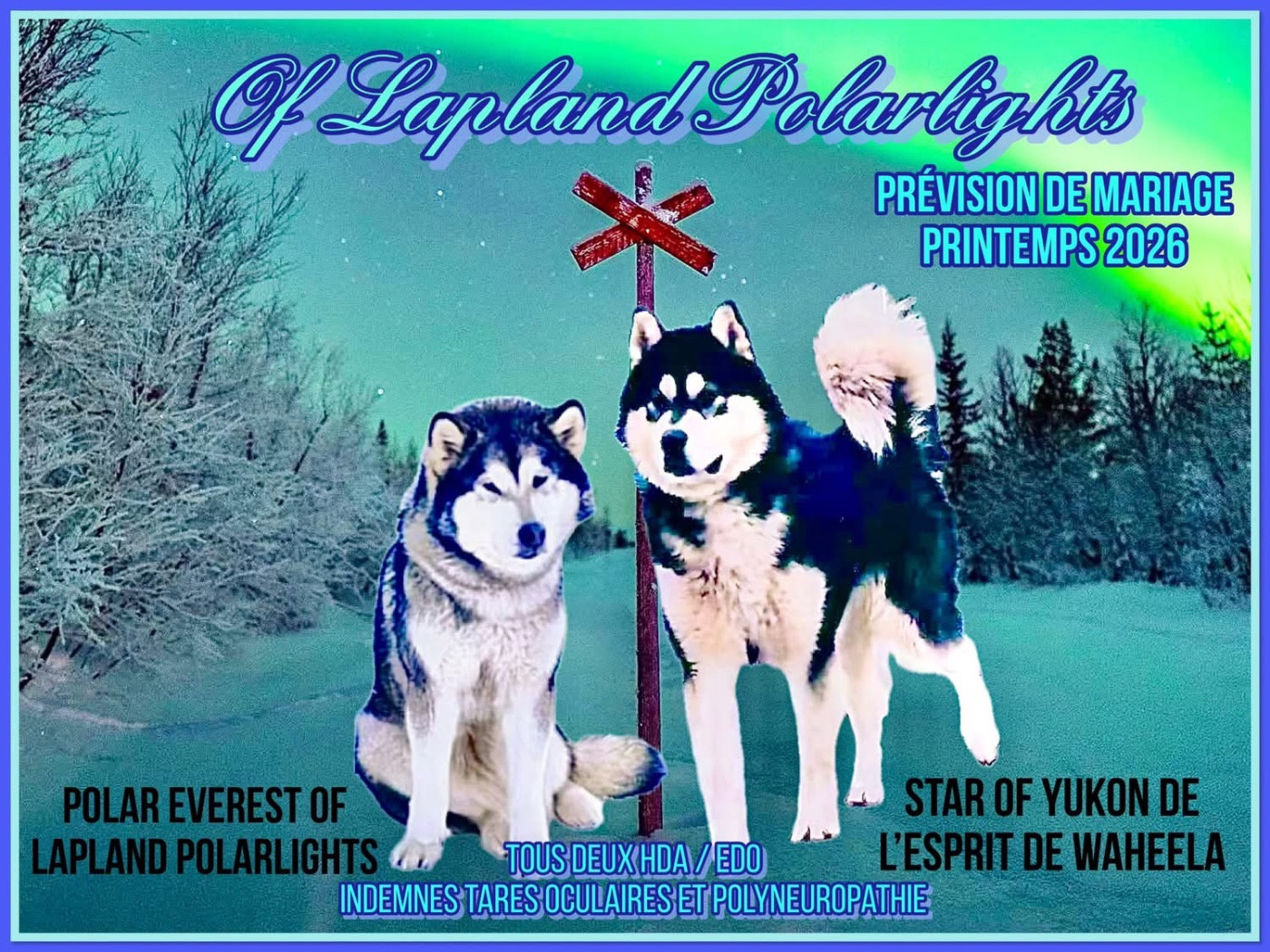 Mariage 2026✨Everest & Yukon 2 eme édition 💫